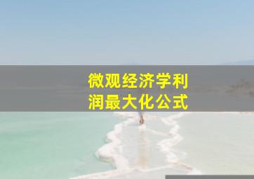 微观经济学利润最大化公式