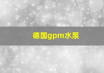 德国gpm水泵