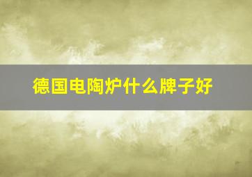 德国电陶炉什么牌子好