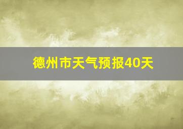 德州市天气预报40天