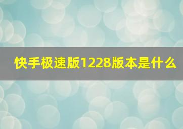 快手极速版1228版本是什么