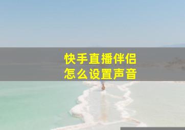 快手直播伴侣怎么设置声音