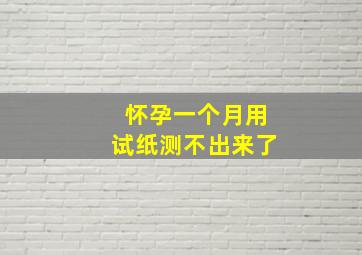 怀孕一个月用试纸测不出来了