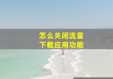 怎么关闭流量下载应用功能