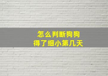 怎么判断狗狗得了细小第几天