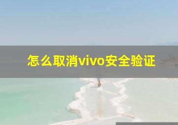 怎么取消vivo安全验证