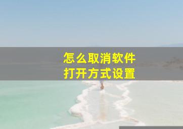 怎么取消软件打开方式设置