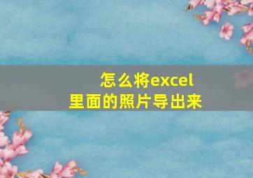 怎么将excel里面的照片导出来