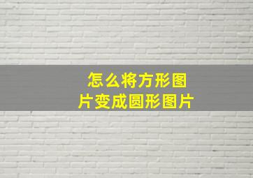 怎么将方形图片变成圆形图片