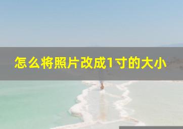 怎么将照片改成1寸的大小