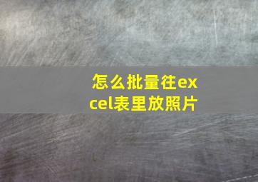 怎么批量往excel表里放照片