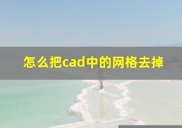 怎么把cad中的网格去掉