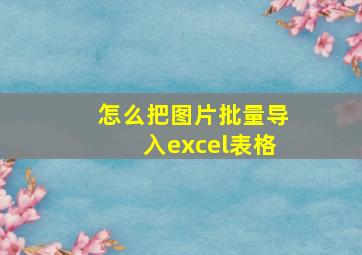 怎么把图片批量导入excel表格