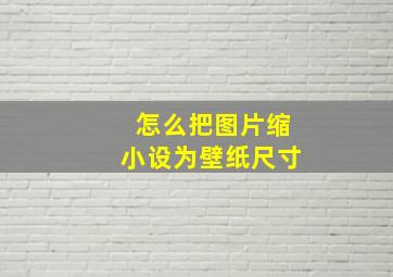 怎么把图片缩小设为壁纸尺寸