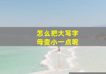 怎么把大写字母变小一点呢