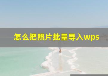 怎么把照片批量导入wps