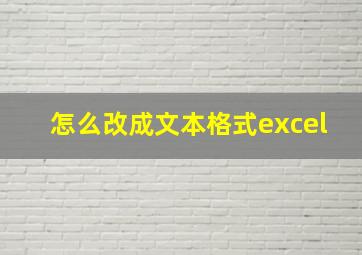 怎么改成文本格式excel