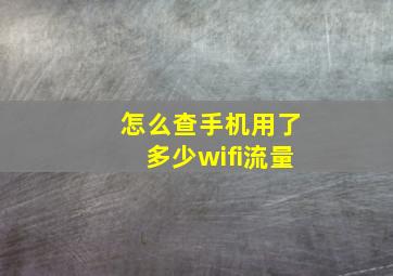 怎么查手机用了多少wifi流量