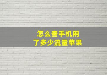 怎么查手机用了多少流量苹果