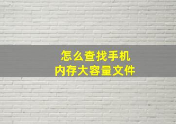 怎么查找手机内存大容量文件