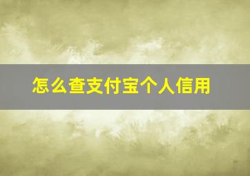 怎么查支付宝个人信用