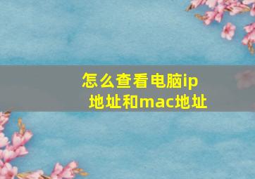 怎么查看电脑ip地址和mac地址