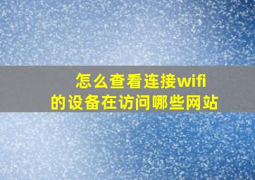 怎么查看连接wifi的设备在访问哪些网站