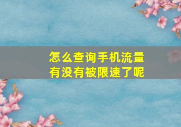 怎么查询手机流量有没有被限速了呢