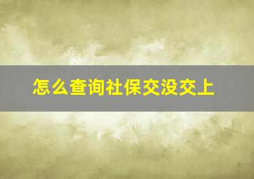 怎么查询社保交没交上