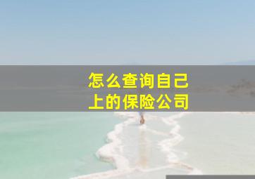 怎么查询自己上的保险公司