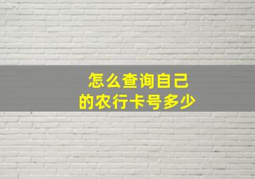 怎么查询自己的农行卡号多少