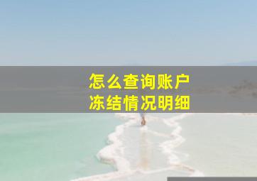 怎么查询账户冻结情况明细