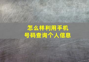 怎么样利用手机号码查询个人信息