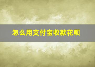 怎么用支付宝收款花呗