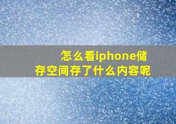 怎么看iphone储存空间存了什么内容呢