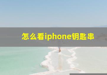 怎么看iphone钥匙串