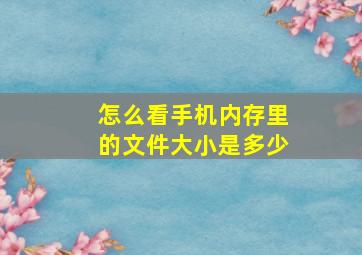 怎么看手机内存里的文件大小是多少