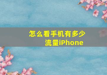 怎么看手机有多少流量iPhone