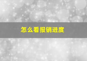 怎么看报销进度