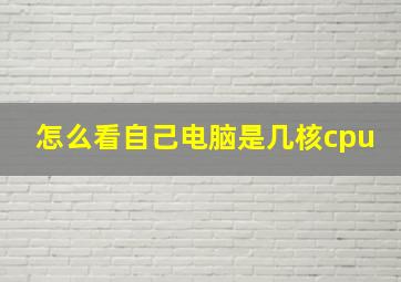 怎么看自己电脑是几核cpu