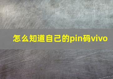 怎么知道自己的pin码vivo