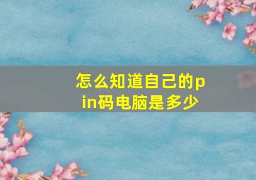 怎么知道自己的pin码电脑是多少