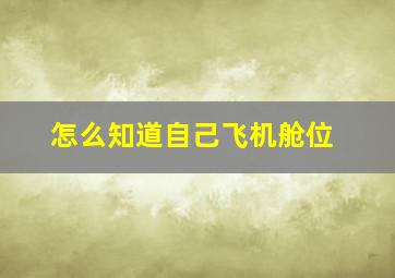 怎么知道自己飞机舱位