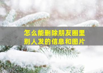 怎么能删除朋友圈里别人发的信息和图片