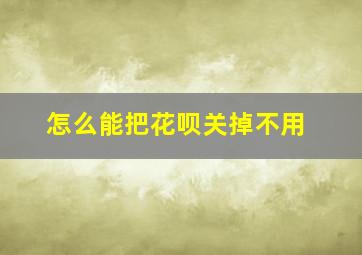 怎么能把花呗关掉不用