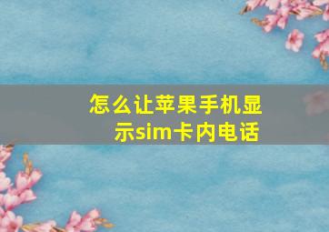 怎么让苹果手机显示sim卡内电话