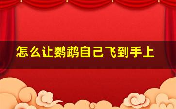 怎么让鹦鹉自己飞到手上