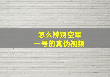 怎么辨别空军一号的真伪视频