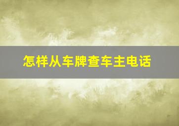 怎样从车牌查车主电话