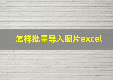 怎样批量导入图片excel